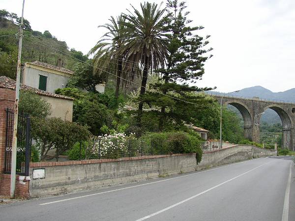 Original image