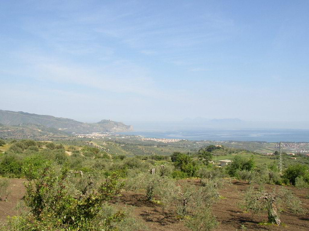 Back