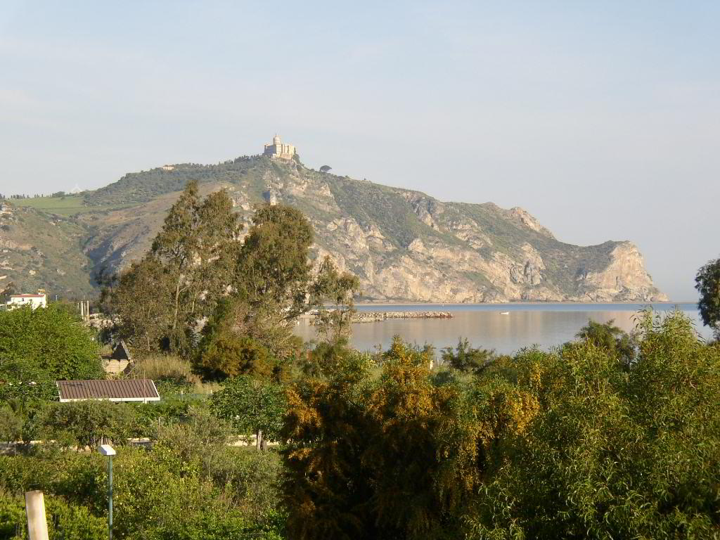 Back