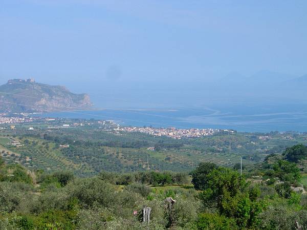 Original image