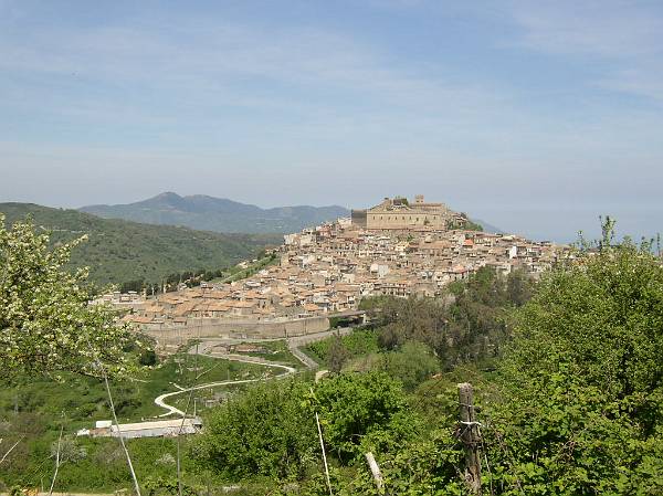Original image