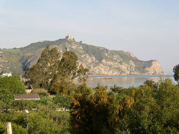Original image
