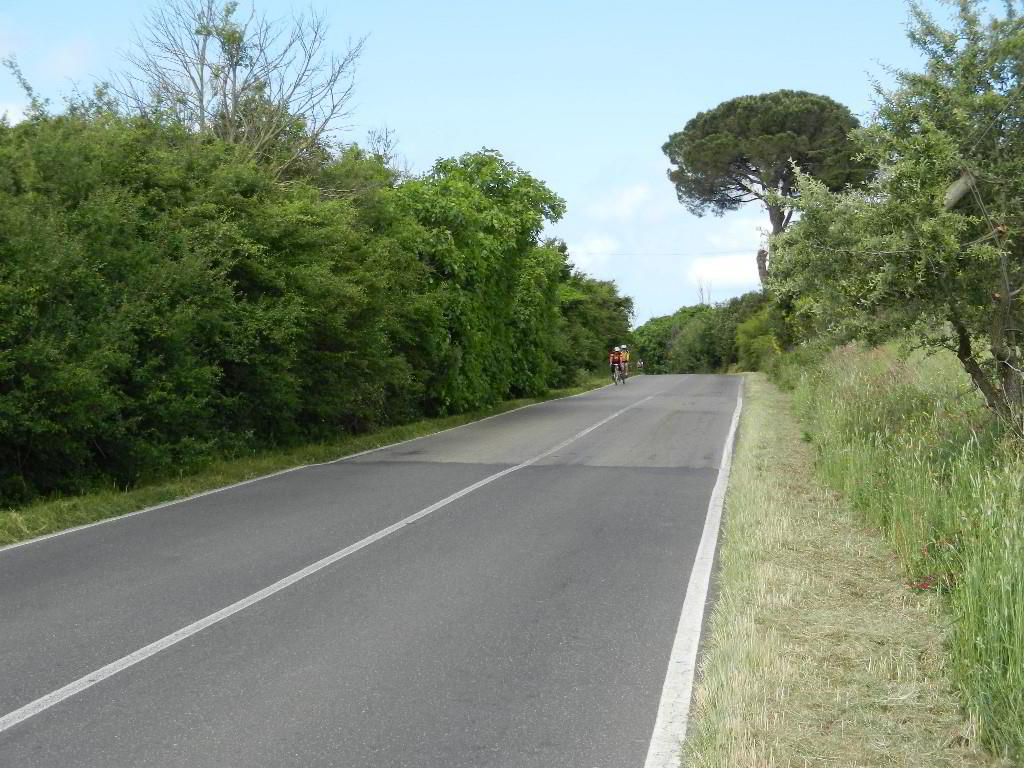 Back
