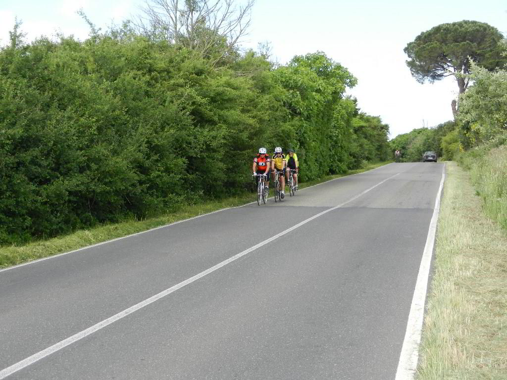 Back