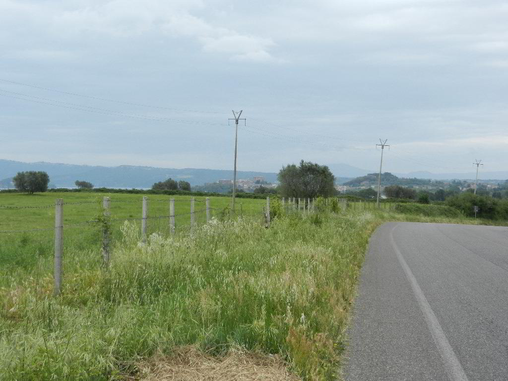 Back