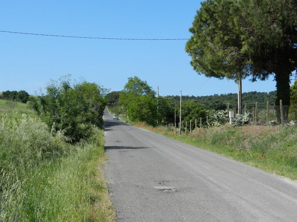 Back