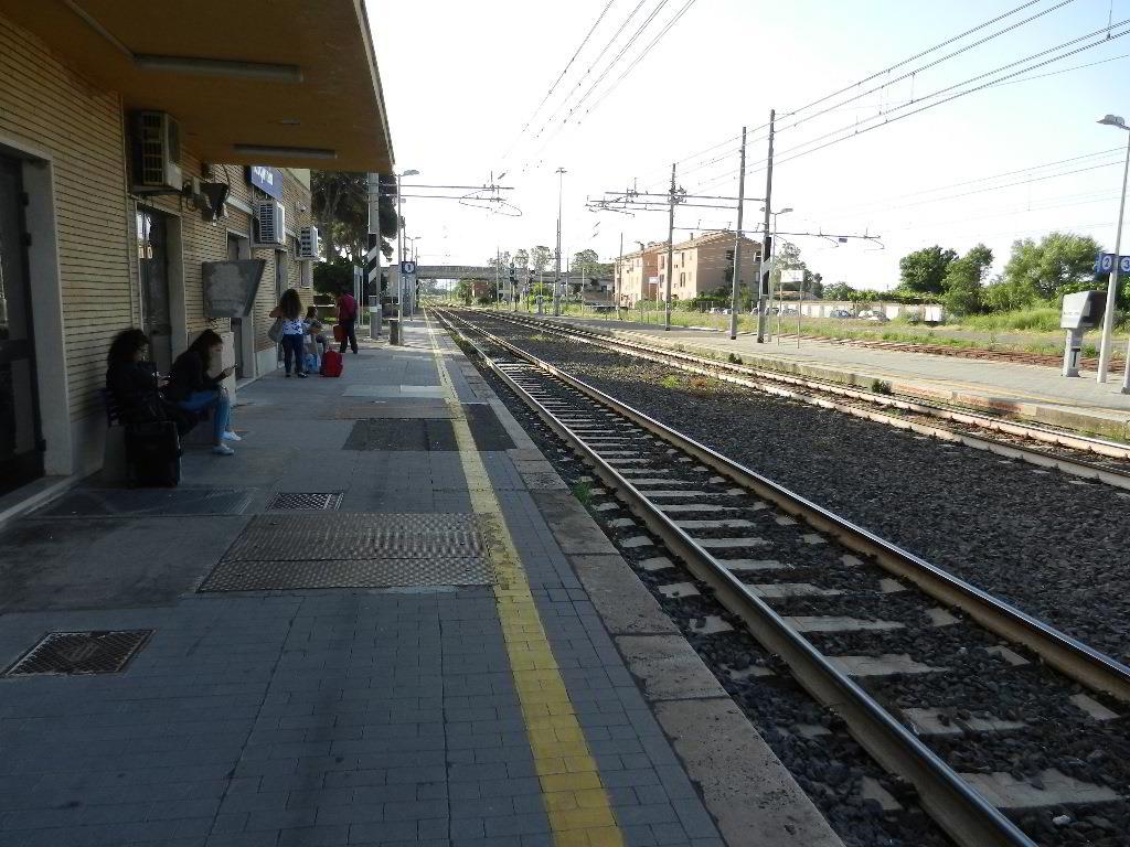 Back