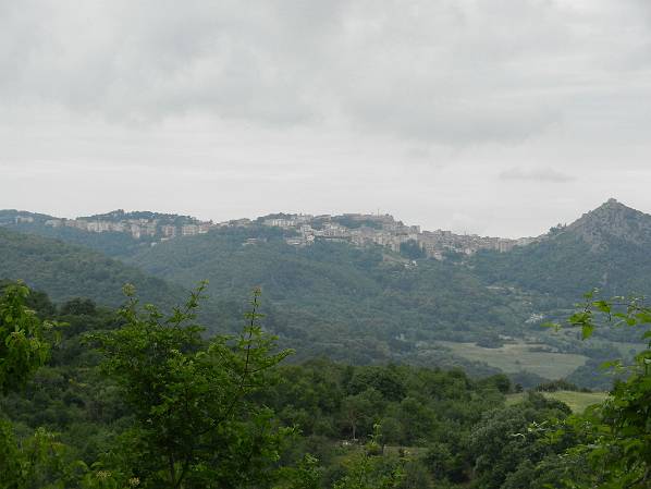 Original image