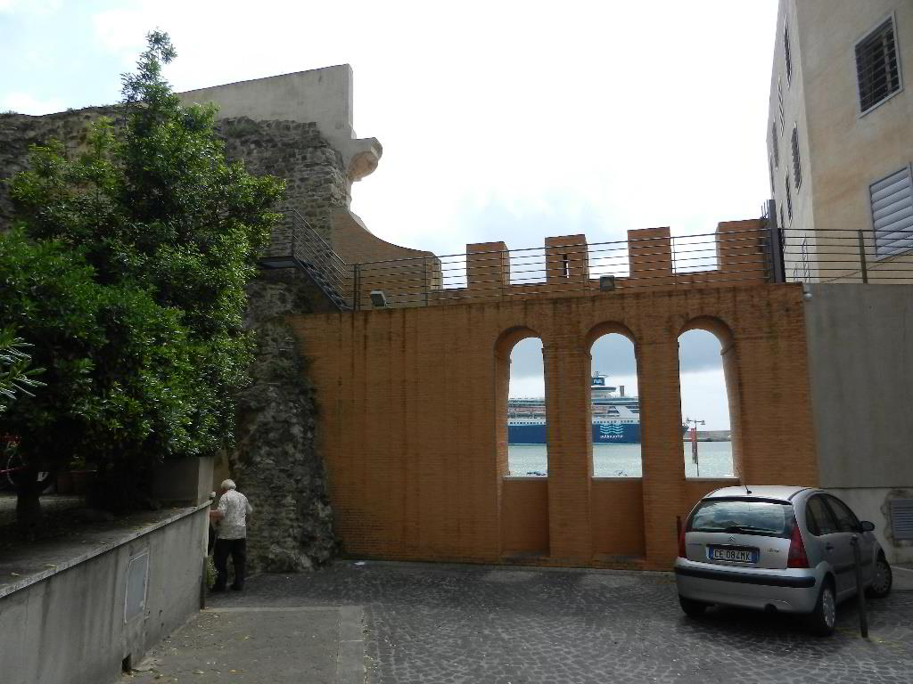 Back