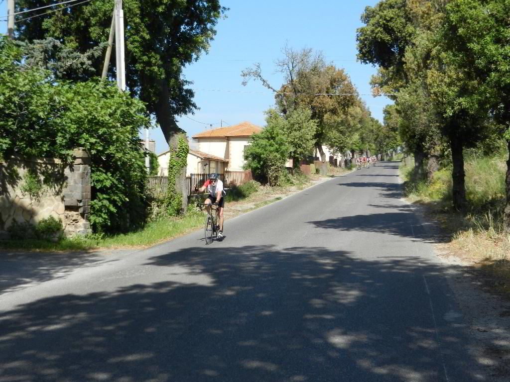 Back