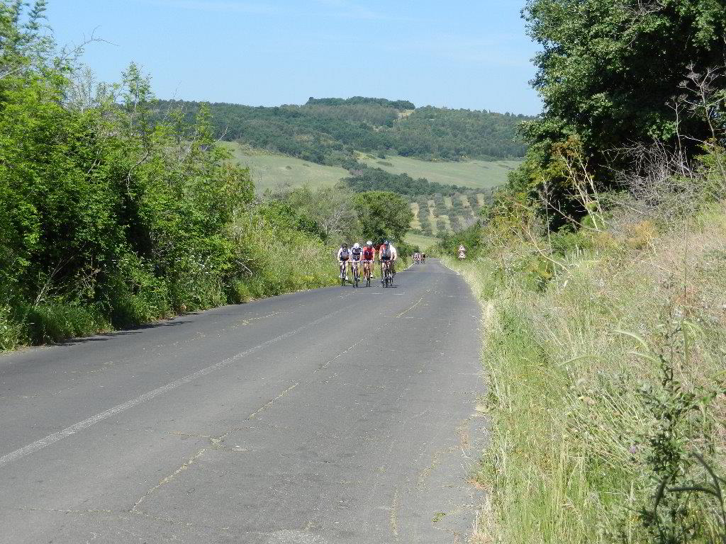 Back