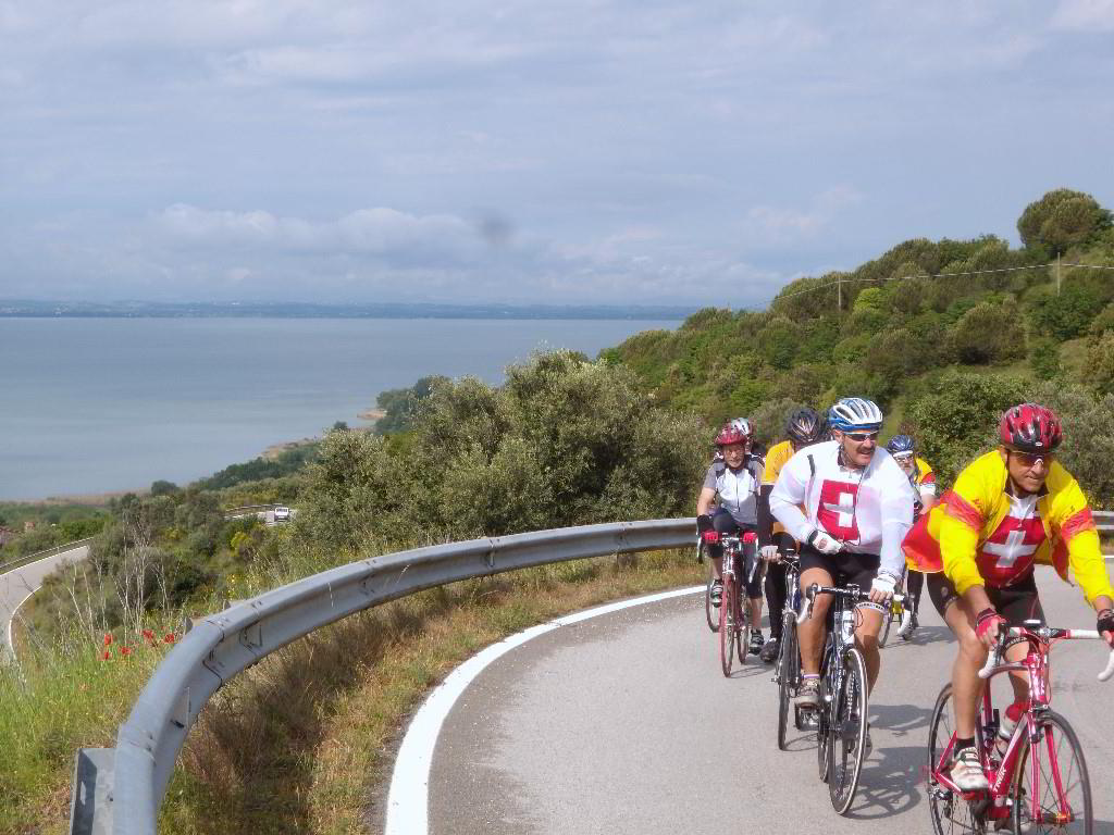Back