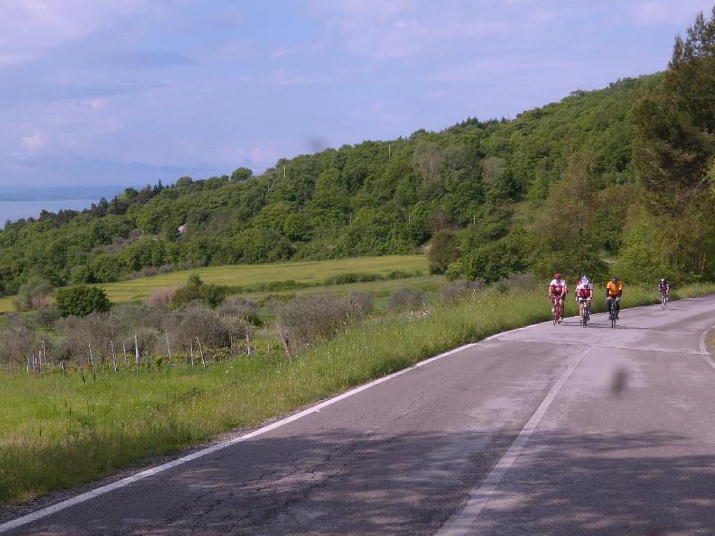 Back