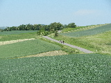 Klicken Sie auf das Bild, um es zu vergr&ouml;&szlig;ern